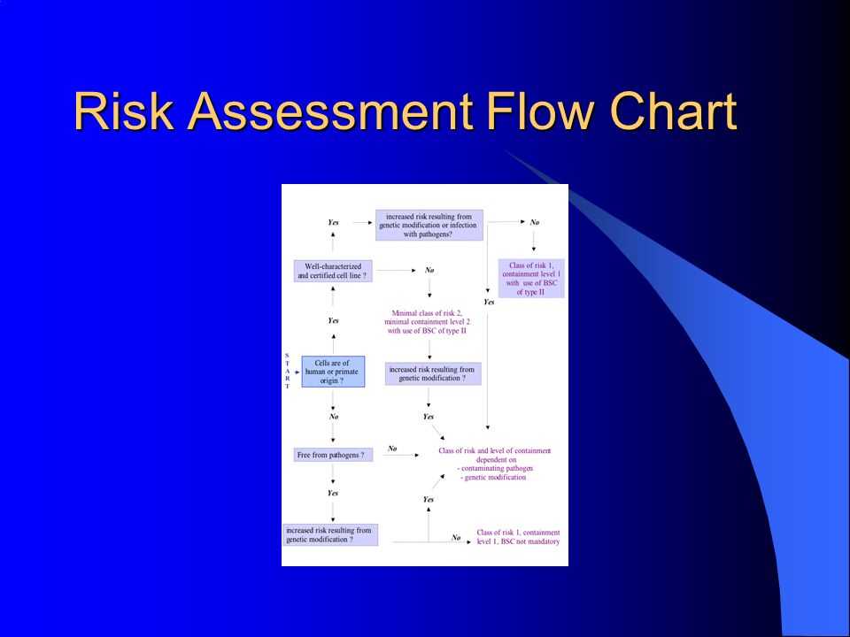DCHAS Lab Risk Assessment Video available!